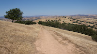 DSC02985.jpg