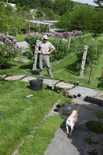 Hi, Shaun!  We're here to help you and Wilmer plant the succulents.