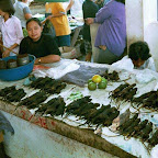 Market - rats