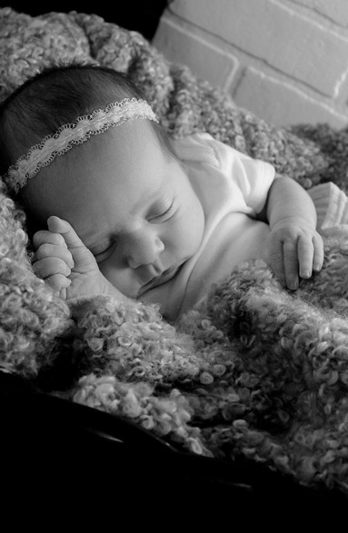 IMG_3731 IMG_3731