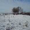 Ingezonden winterfoto\'s 2011-2012_15.jpg