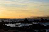 DSC_0664.JPG