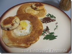 bacon n eggs griddle cakes  - The Backyard Farmwife