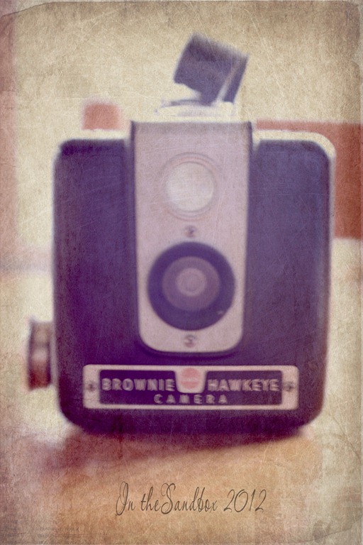 [Brownie%2520with%2520Serenity%2520texture%2520for%2520web%255B4%255D.jpg]