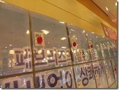 SDC12304