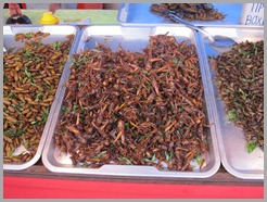 IMG_2500 IMG_2500