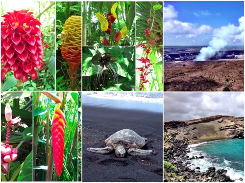 Hawai'i 4.jpg Hawai i 4