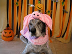 Bodie says, 