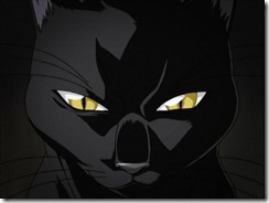 Bleach 17 Sinister Black Cat