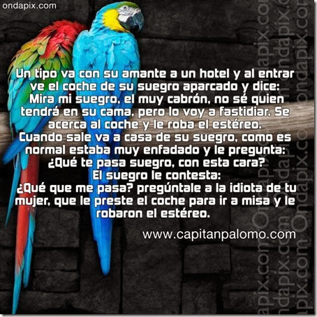 el suegro el suegro