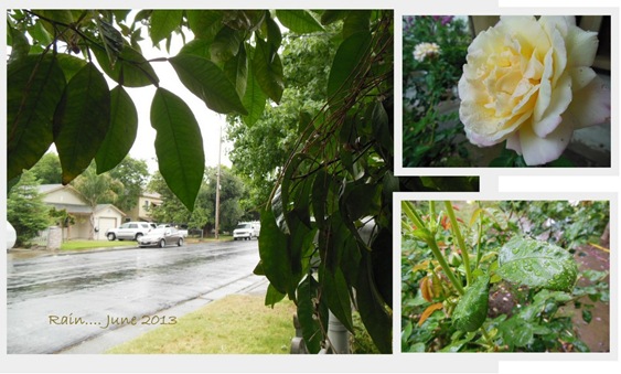 rainy day rainy day