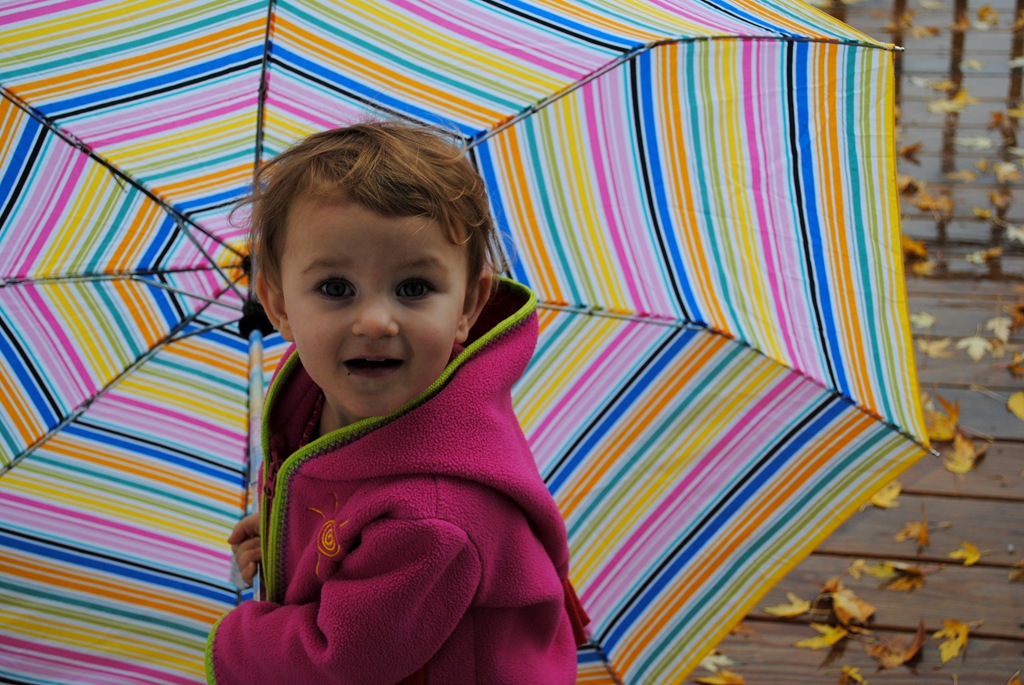 [DSC_2368%255B9%255D.jpg]