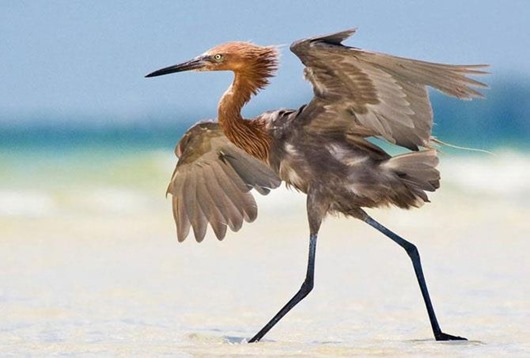 [480319_544349345586810_372693322_n%255B3%255D.jpg]