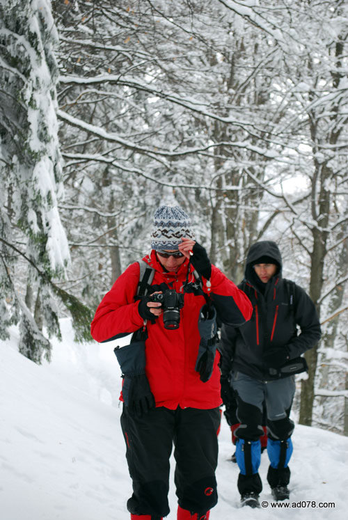 DSC_1900.jpg