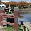 hokkaido_156.jpg