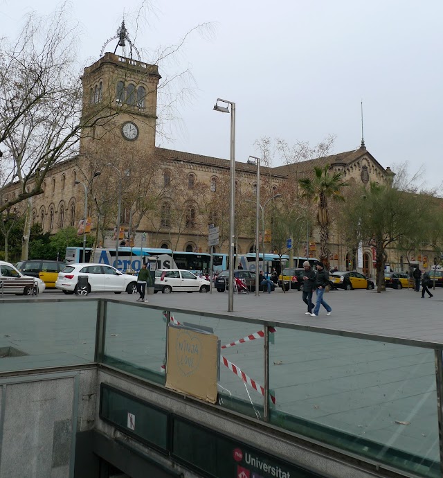 L1290941.JPG
