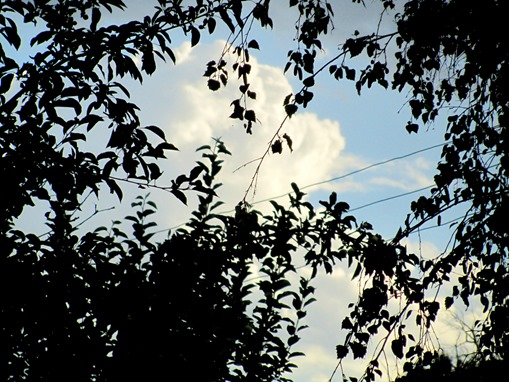 IMG_6401 IMG_6401