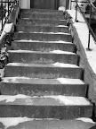 photos 003.JPG