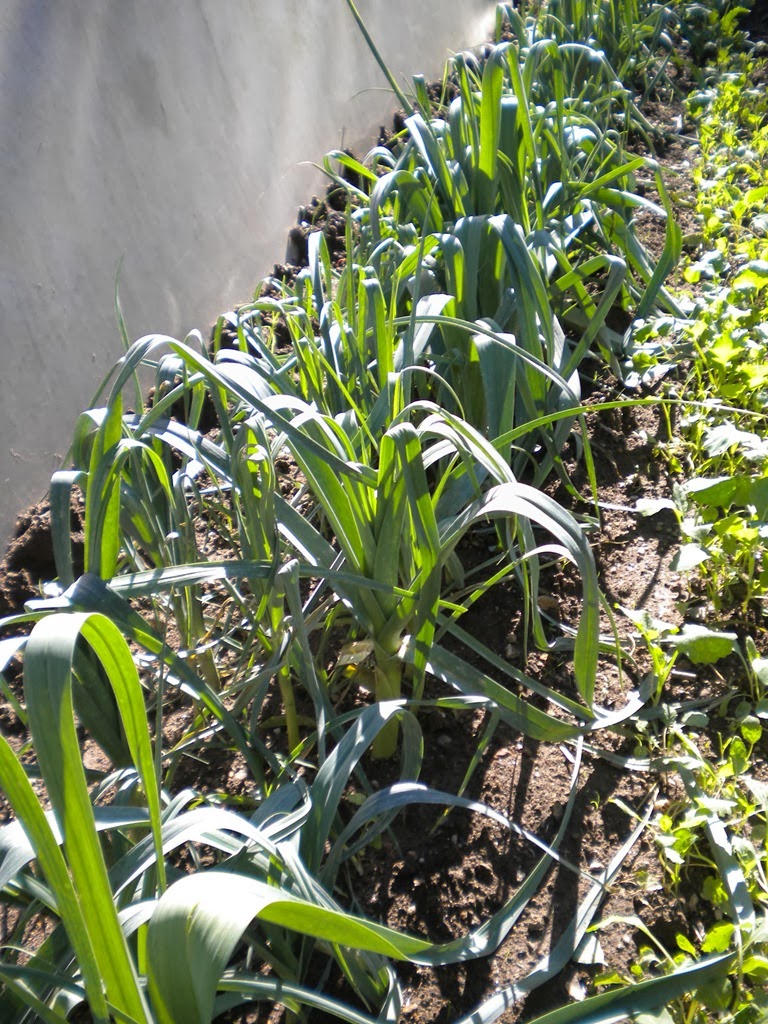 [DSCN6780%255B8%255D.jpg]