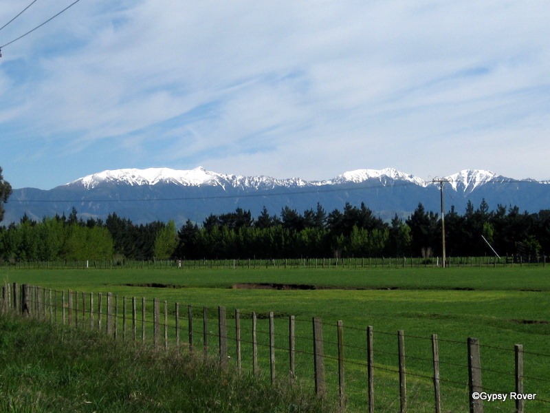 [IMG_4951%255B4%255D.jpg]
