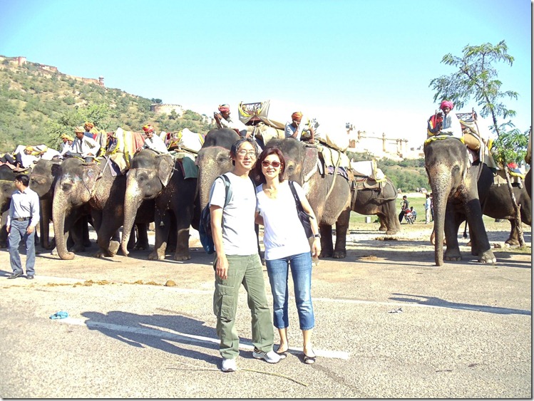 DSC00932 - Elefante rider - Jaipur_2048x1536