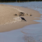20100822_012_small.JPG