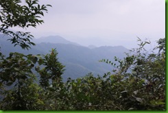 IMG_0037 IMG_0037
