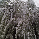 0528_124448.jpg 0528_124448.jpg
