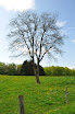 DSC_0051.JPG