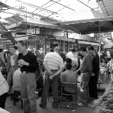 Shanghai - Pets market - Le commerce du criquet