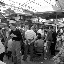 Shanghai - Pets market - Le commerce du criquet