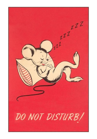 [do-not-disturb-sleeping%255B3%255D.jpg]