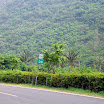 20060819_22_kenting_193.jpg