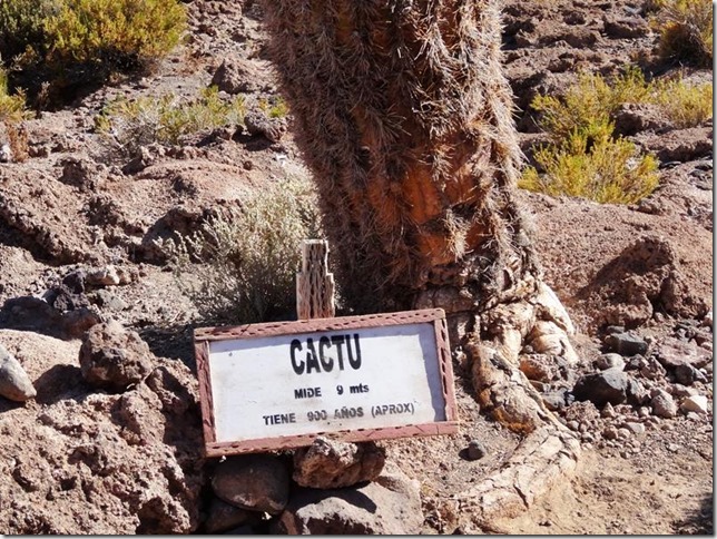 Salar_de_Uyuni_DSC01236