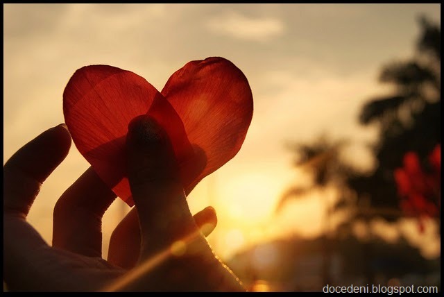 [t%25C3%25A3o%2520apaixonado%255B10%255D.jpg]