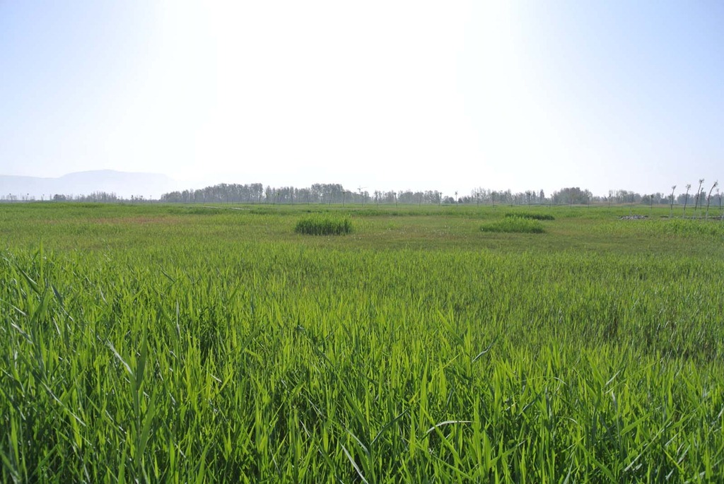 [DSC_3512%255B4%255D.jpg]