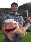 Image142.jpg