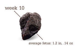 [week105.jpg]