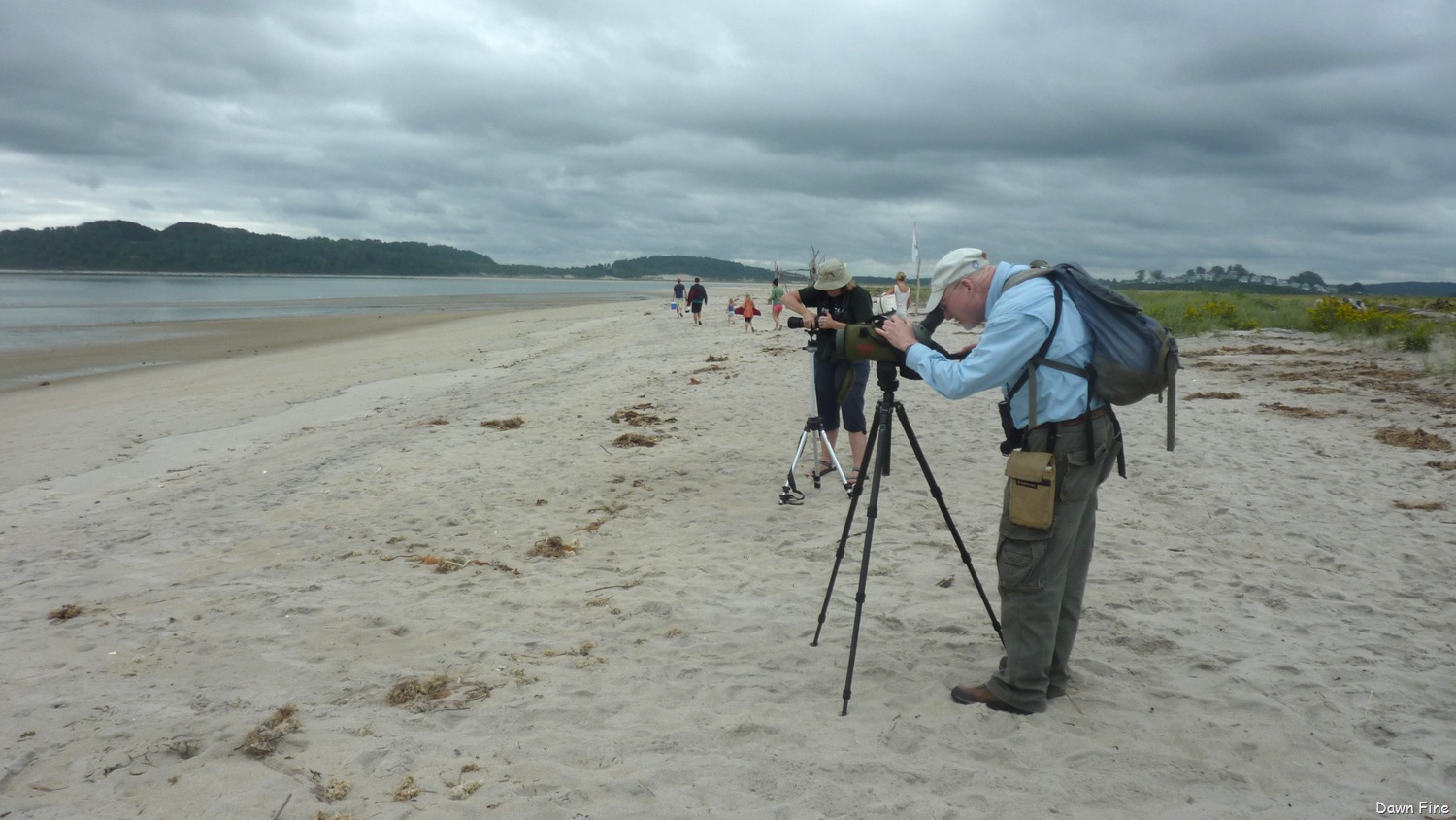 [Plum-Island_011-11.jpg]