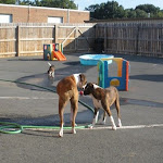 DSCN2521.jpg
