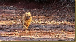 IMG_3651 (2) IMG_3651 (2)