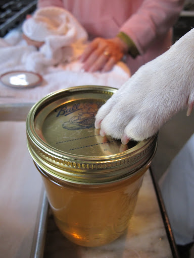 And screw on the ring.  Although, amazing honey never seems to spoil!  The bees have preserved it for us!