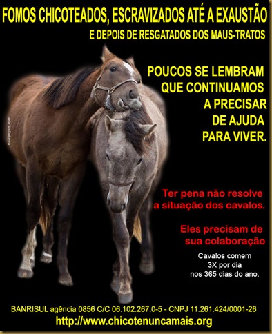 cavalos_esquecidos