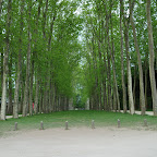 DSC_0118.jpg