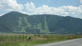 IMG_4240.jpg
