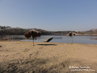 dsc06790.jpg