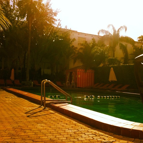 photo 3 (3)