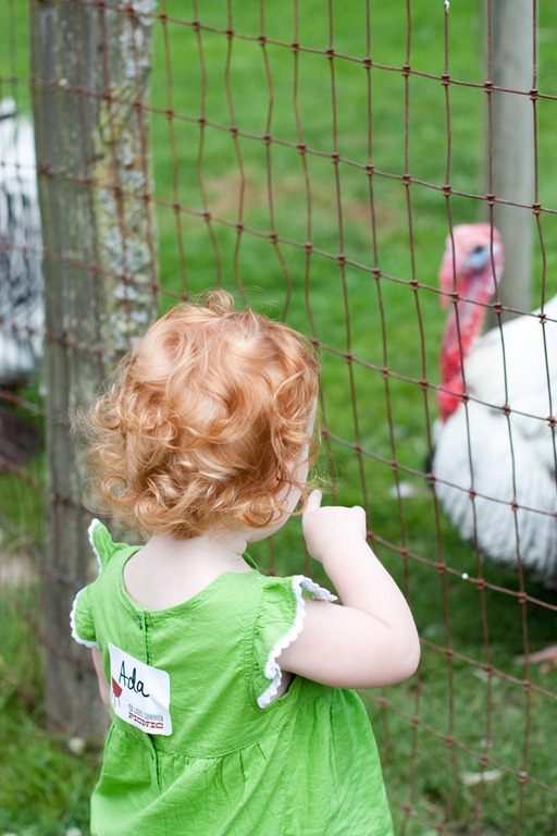 [20120728-IMG_75143.jpg]