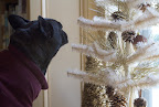 This feather tree on the window sill is decorated with gold glittered pine cones.