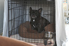 Halfway through my 30 days of confinement!  Does anyone know how tiresome this is?